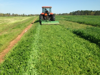 flail-mowing-oats-clover