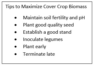 tips-to-maximize cover crop biomass