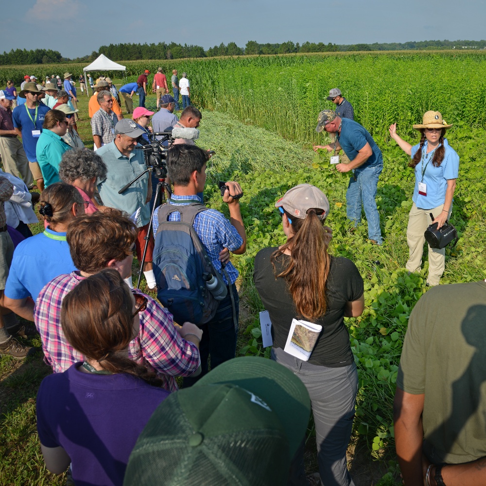 Get Involved Southern Cover Crops Council